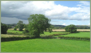 Field view from Meadow Barn, Little Sutton