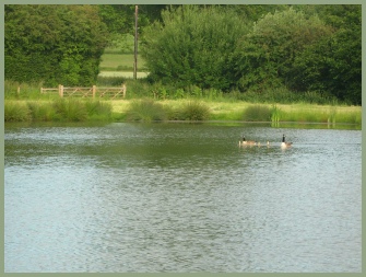 Our own fishing pool a short walk from Meadow Barn