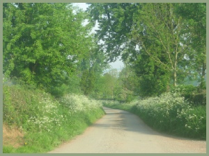 Driveway to Meadow Barn