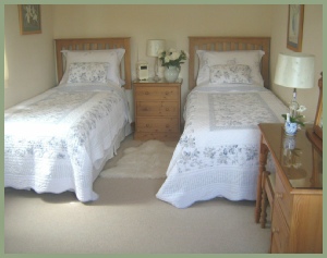 Downstairs twin bedroom 